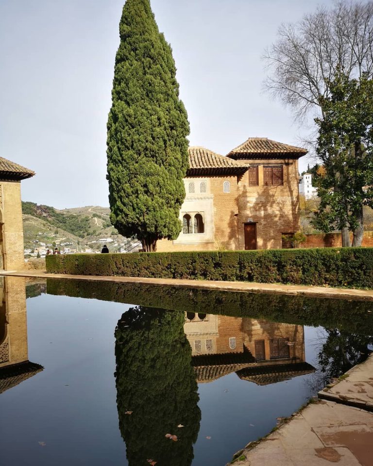 68699943_640904013097682_481655649548202317_n 1